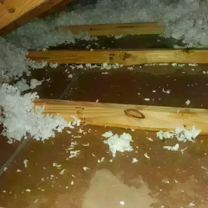 Attic Water Damage in Orchard Grass Hills, KY